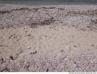 beach sand with stones 0004